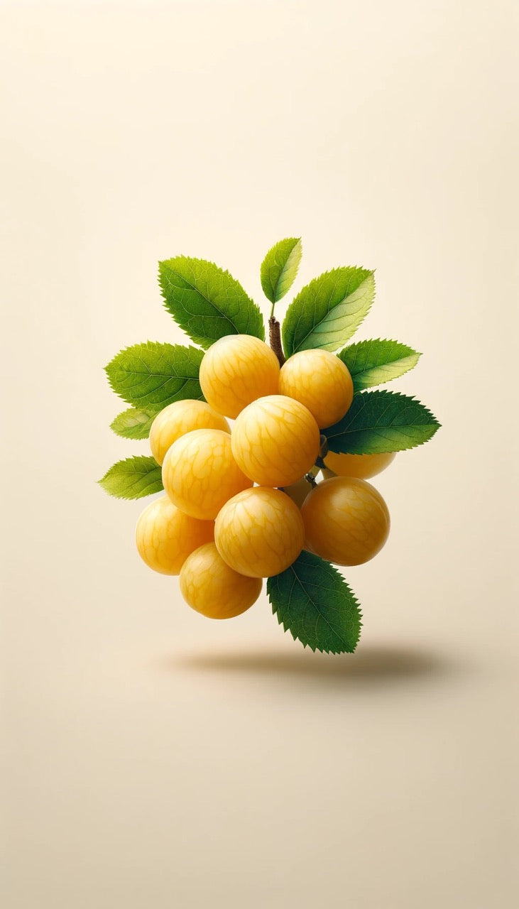 FAIR TRADE ARAZÀ EXTRACT