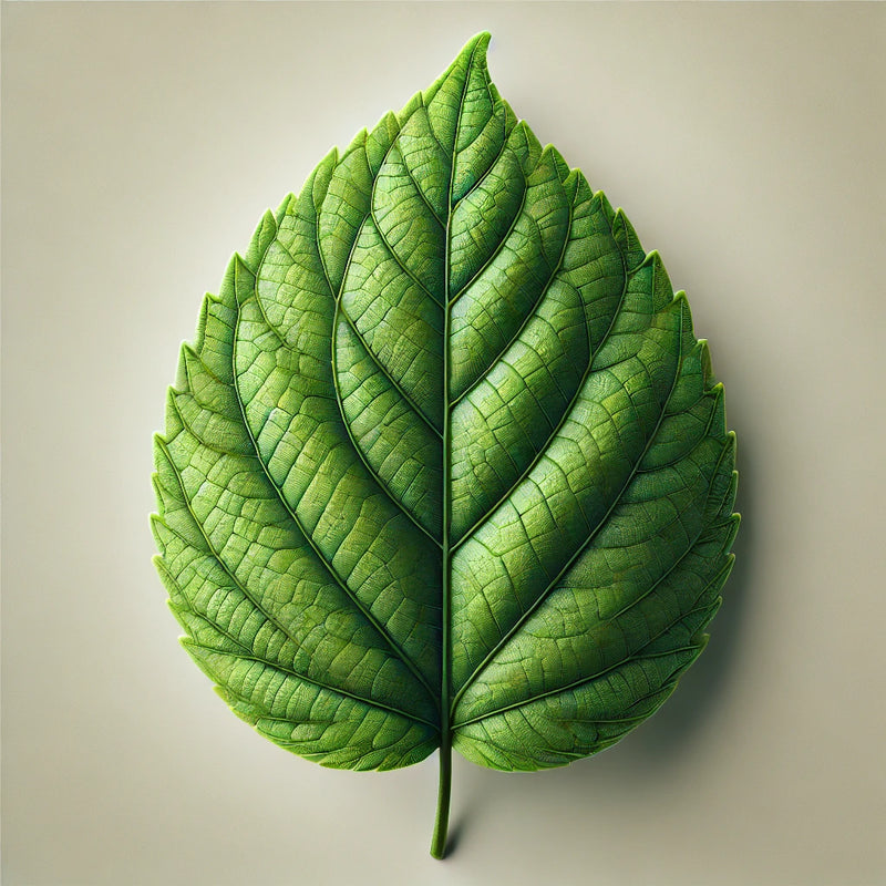 PHYTOPEPTIDES