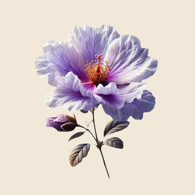 PLANTA DE LA BELLEZA