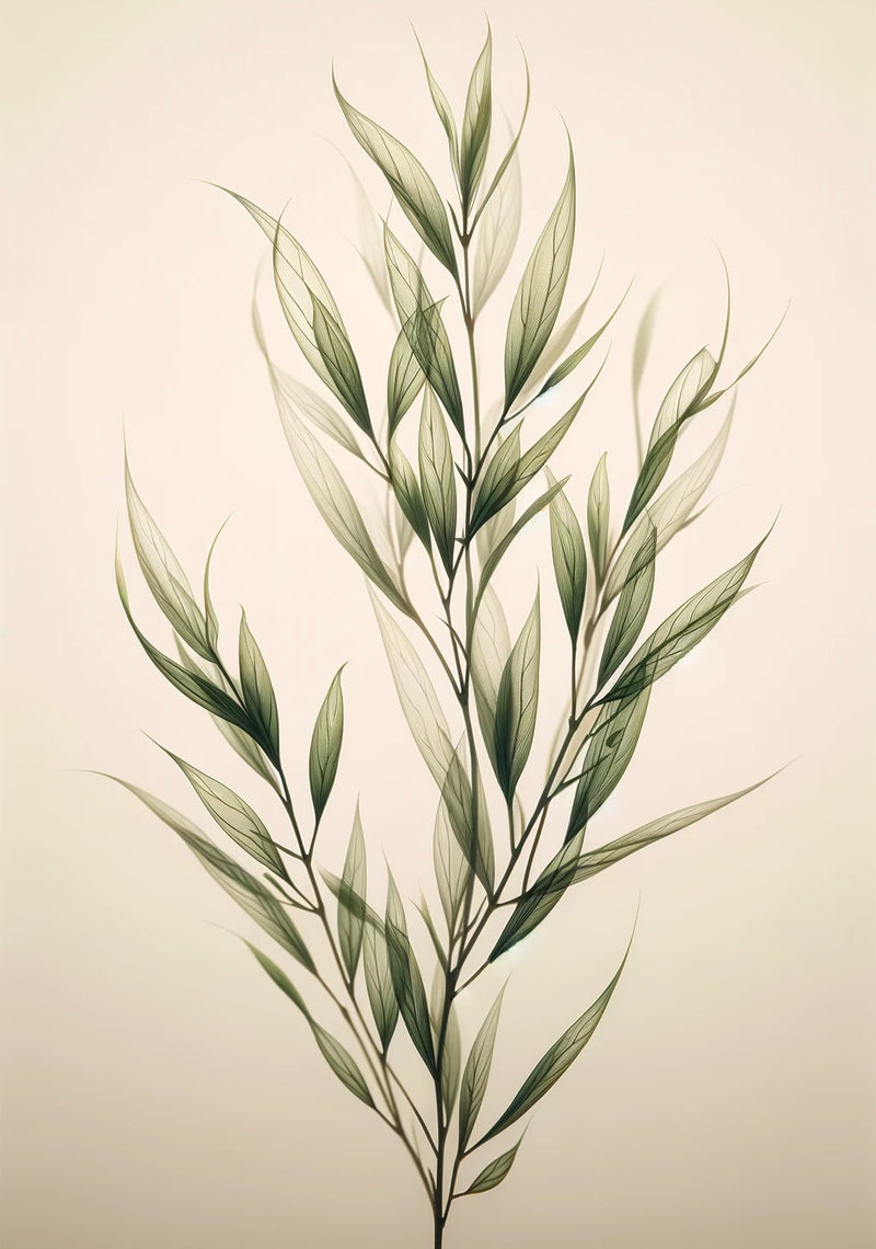 ORGANIC WILLOW