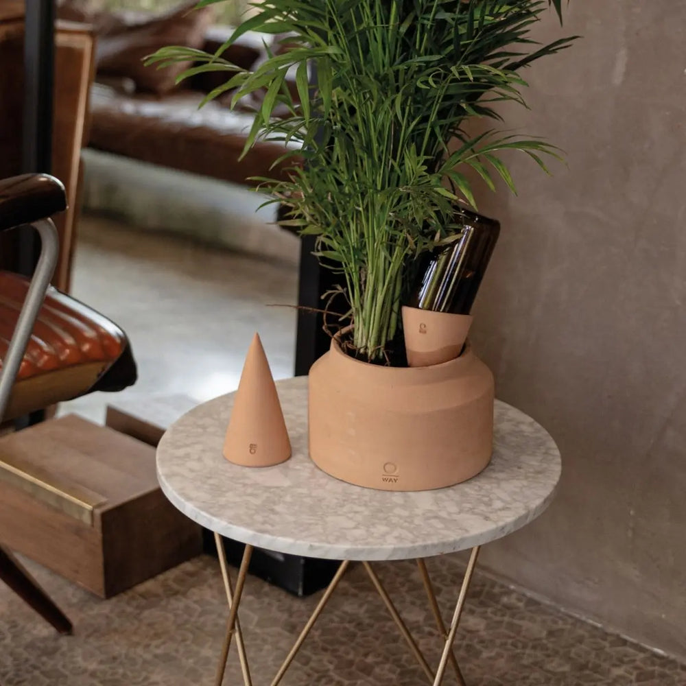 cono