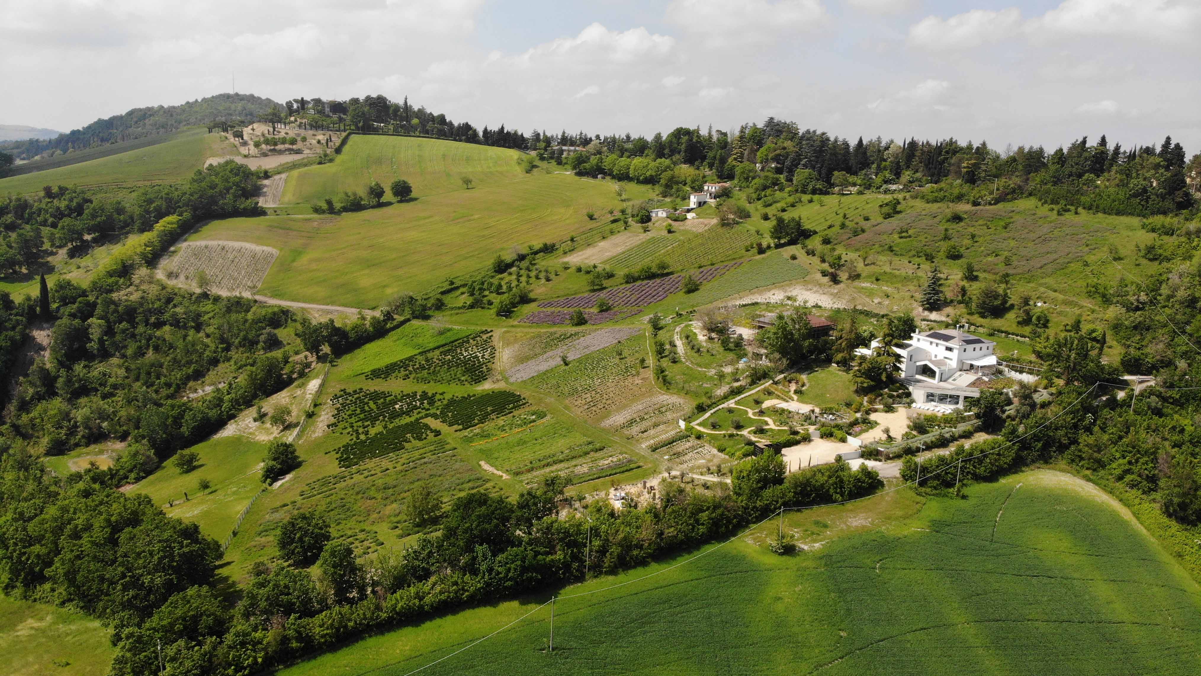 Sigue adentrándote en nuestra historia