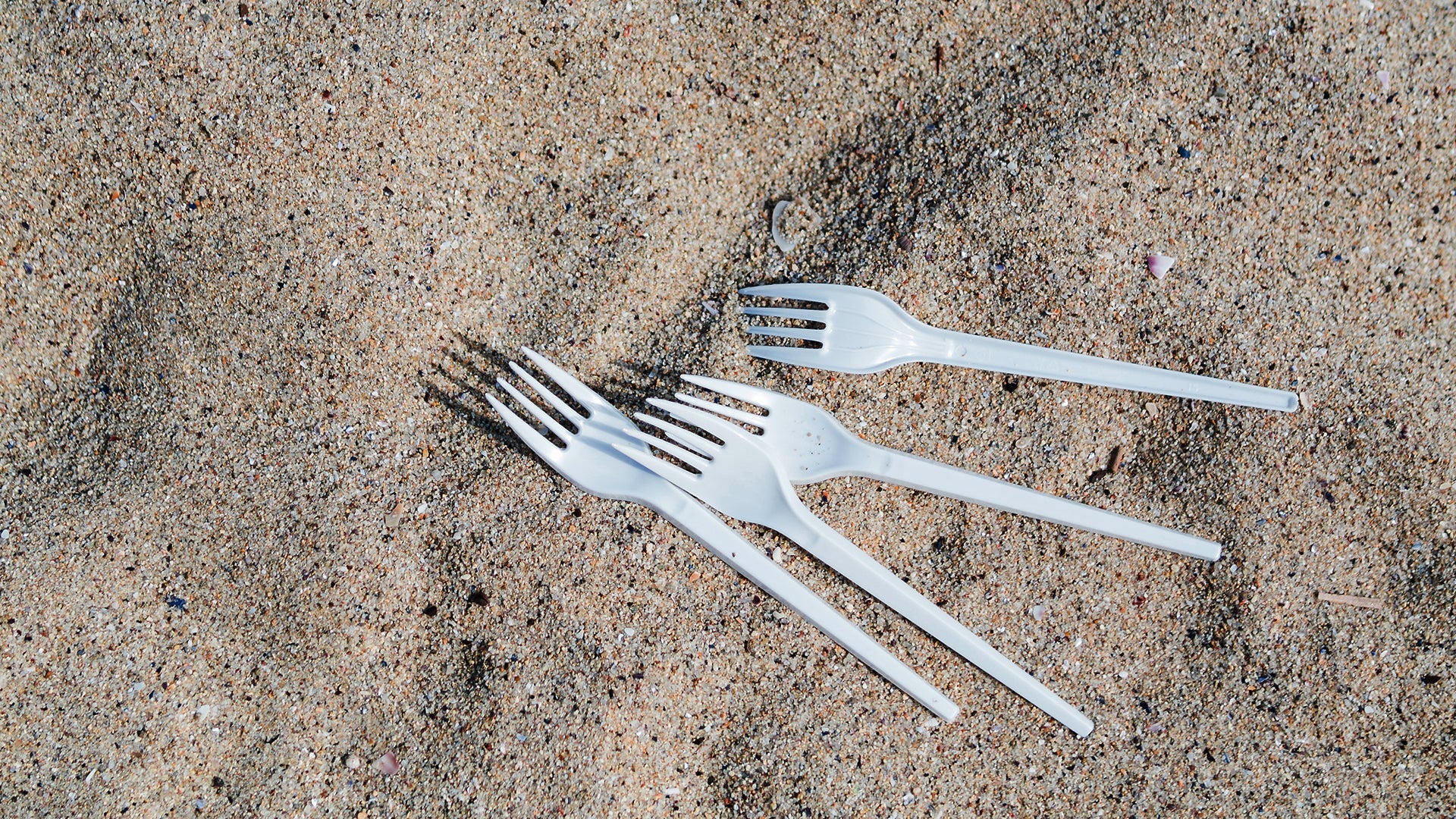 The single-use culture (doesn’t) go on holiday with us.