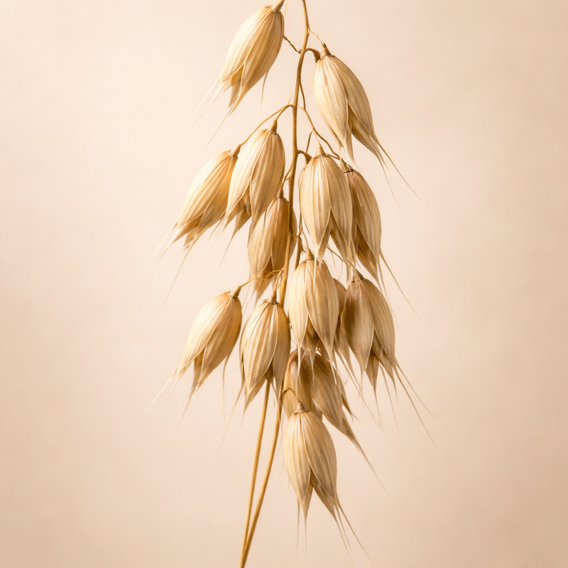 BIODYNAMIC ZERO-MILE OAT