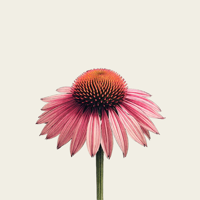 re-vitalizing face serum