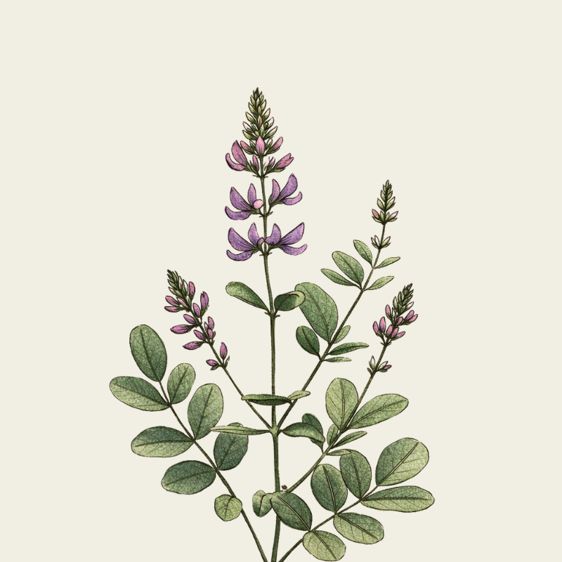 re-blooming face serum