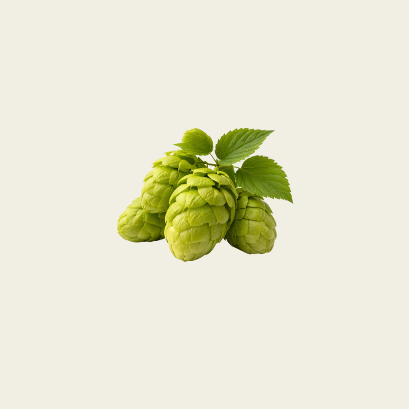 ORGANIC HOPS