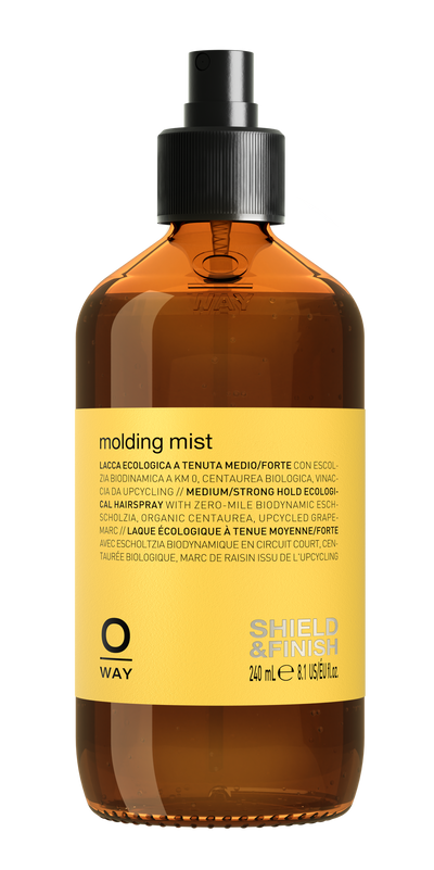 molding mist