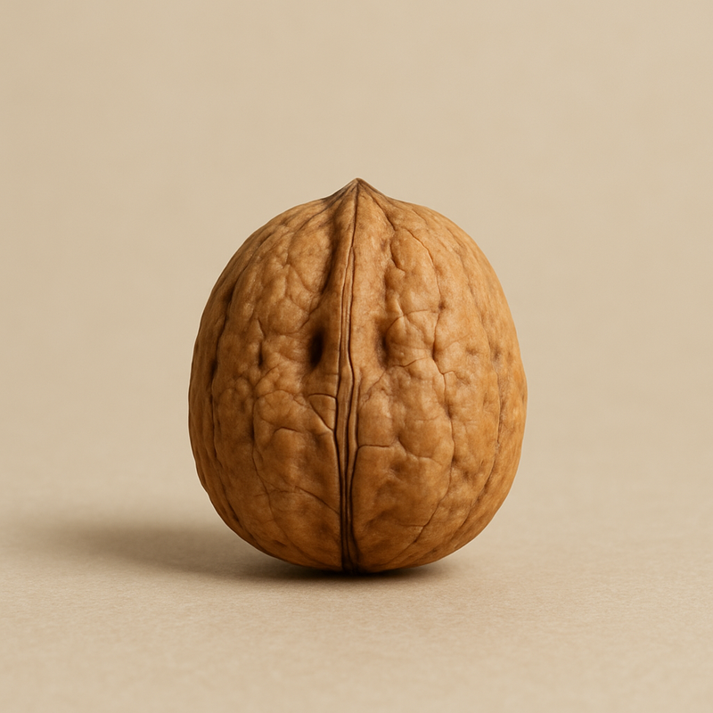 NUEZ BIODINÁMICA DE KM 0