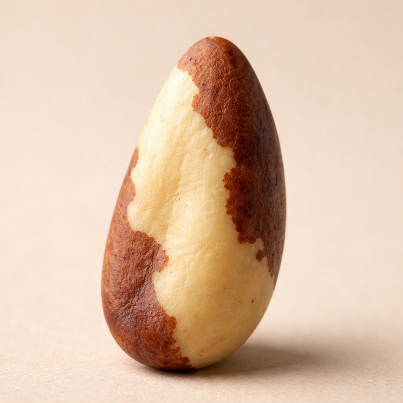 ETHICALLY-PRODUCED BRAZIL NUT