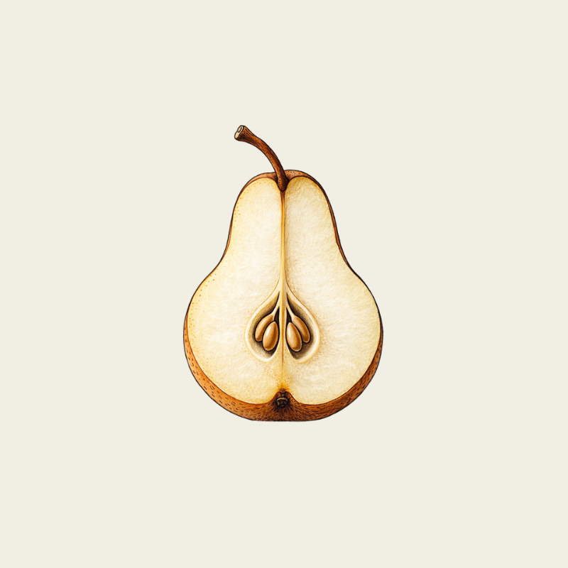 PEAR PEEL AND PEAR SEED