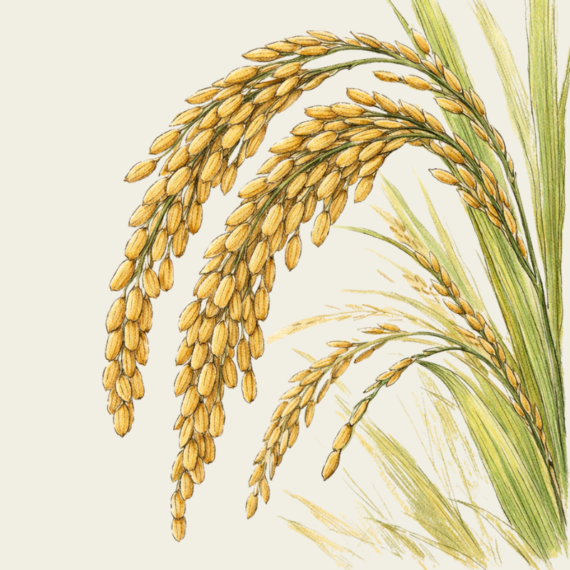 silver steel hair bath