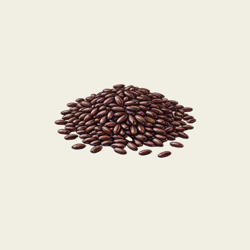 Orgabic Purple Rice next day cream: texturizing cream | OWAY